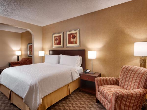 Best Western Downtown Phoenix : photo 2 de la chambre suite lit king-size avec canapé-lit