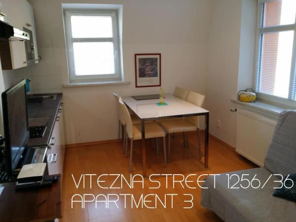 Holiday Apartments Vítězná 1256/36 : photo 8 de la chambre studio familial