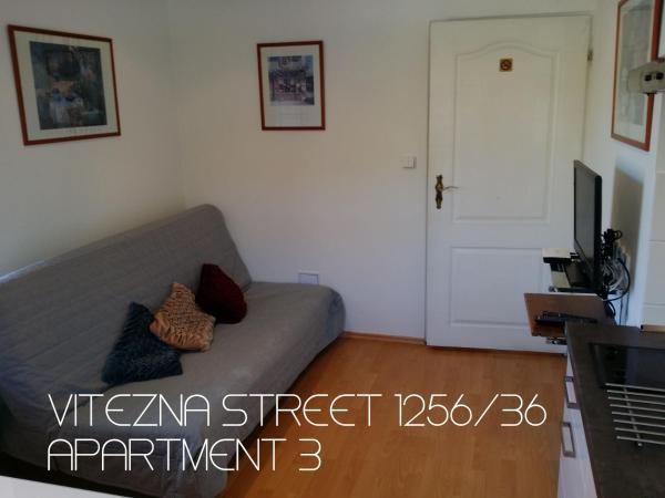 Holiday Apartments Vítězná 1256/36 : photo 10 de la chambre studio familial