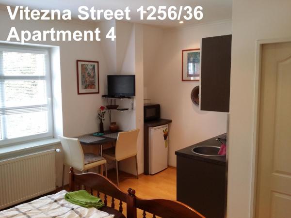 Holiday Apartments Vítězná 1256/36 : photo 5 de la chambre studio