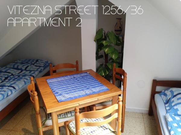 Holiday Apartments Vítězná 1256/36 : photo 6 de la chambre studio standard
