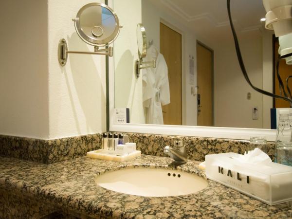 Kali Escandón Mexico City : photo 8 de la chambre suite junior