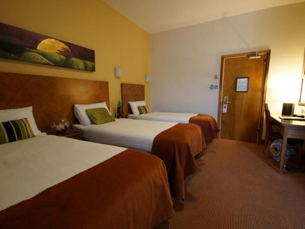 Treacy's Hotel Spa & Leisure Club Waterford : photo 4 de la chambre chambre familiale (2 adultes et 2 enfants)
