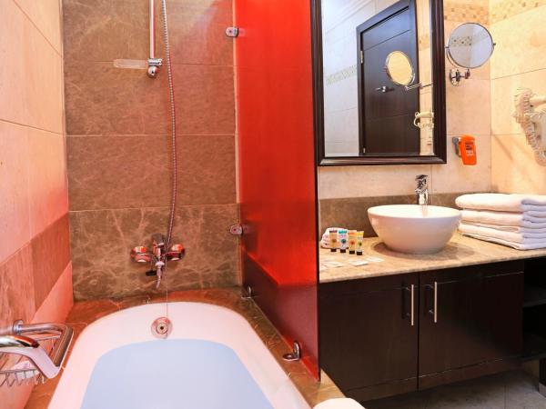 MENA ApartHotel Albarsha At The Mall : photo 6 de la chambre appartement 1 chambre - non-fumeurs - 20 % de réduction sur nourriture et boissons et service de blanchisserie