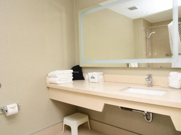 Days Inn by Wyndham Ottawa : photo 3 de la chambre chambre avec 2 lits queen-size pour personnes à mobilité réduite