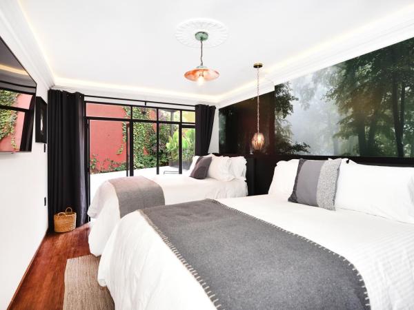 Orchid House Polanco : photo 5 de la chambre chambre lits jumeaux