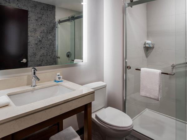 Hyatt Place Tampa Downtown : photo 4 de la chambre chambre king standard avec canapé-lit