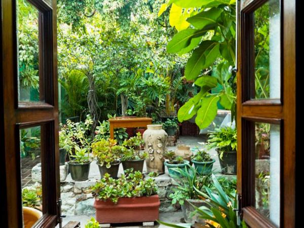 Hotel Las Golondrinas : photo 3 de la chambre chambre double Économique