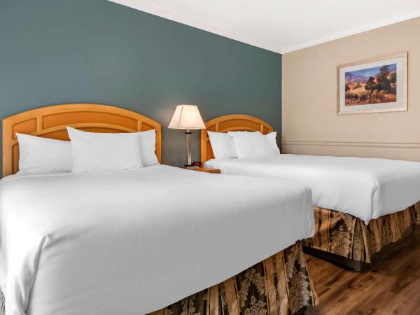 Econo Lodge Inn & Suites : photo 3 de la chambre chambre double standard avec 2 lits doubles - non-fumeurs