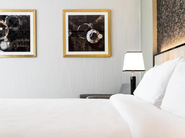 Holiday Inn Rosario, an IHG Hotel : photo 1 de la chambre chambre exécutive lit king-size - non-fumeurs