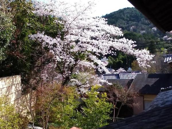 金閣荘 : photo 1 de la chambre chambre double - vue sur montagne