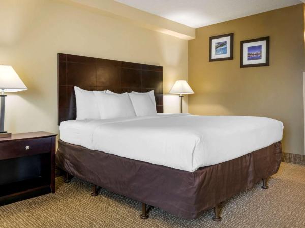 Comfort Inn International Dr : photo 4 de la chambre chambre lit king-size - canapé-lit