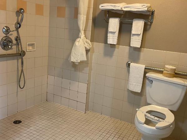 Motel Capri : photo 5 de la chambre chambre lit king-size - accessible aux personnes à mobilité réduite