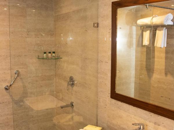 Bamboo Saa Resort & Spa - Udaipur : photo 3 de la chambre regal classic pool view room