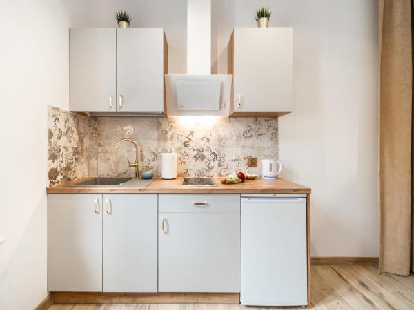 Helios Aparthotel : photo 2 de la chambre apartment with kitchenette and balcony (2 adults)