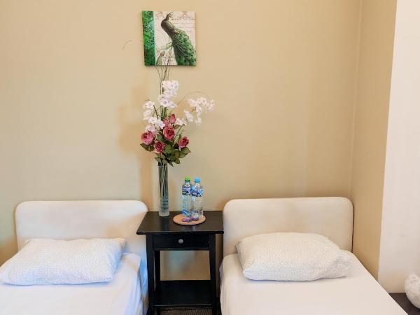 Hostel Helvetia - PRIVATE ROOMS in CITY CENTER and OLD TOWN : photo 3 de la chambre chambre lits jumeaux avec salle de bains privative