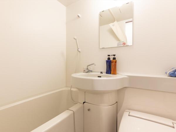 The Hotel Saint-Felicien Kyoto Shijo Karasuma : photo 7 de la chambre chambre simple