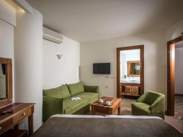 Anesis Blue Boutique Hotel : photo 4 de la chambre suite supérieure