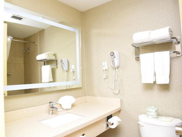 Days Inn by Wyndham Ottawa : photo 1 de la chambre chambre 1 lit double