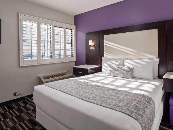 SureStay Hotel by Best Western Beverly Hills West LA : photo 1 de la chambre chambre lit queen-size - non-fumeurs