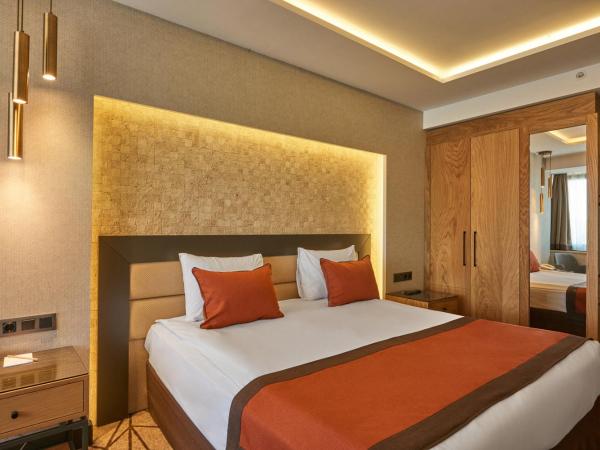 Grand Hotel Gulsoy Old City : photo 3 de la chambre chambre double ou lits jumeaux standard