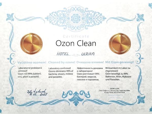 Spa Hotel ULRIKA : photo 6 de la chambre chambre lits jumeaux confort avec accès au spa