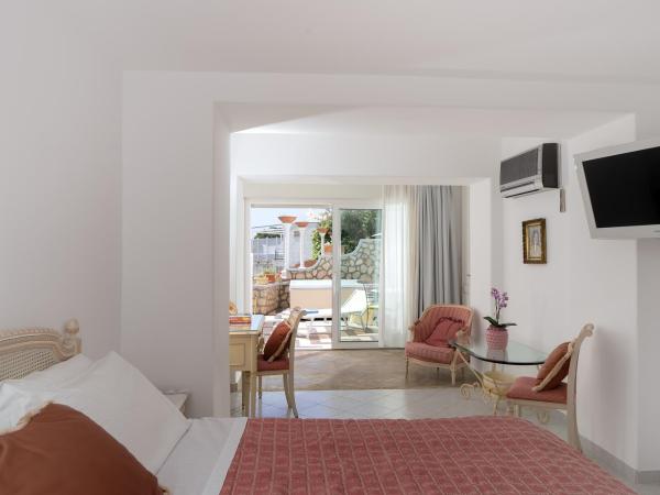 Hotel La Floridiana : photo 5 de la chambre chambre double deluxe avec terrasse et bain à remous extérieur - vue partielle sur mer