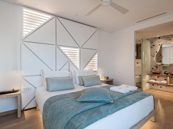 Lagon Life Spirit Boutique Hotel - Adults Only : photo 4 de la chambre chambre double avec piscine privée - vue sur jardin