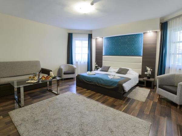 Hotel Villa Völgy Wellness & Konferencia : photo 1 de la chambre chambre double ou lits jumeaux avec lit d'appoint