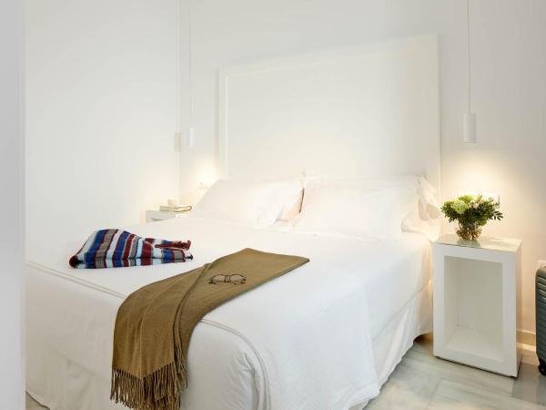 Hotel Fernando III : photo 10 de la chambre appartement en duplex