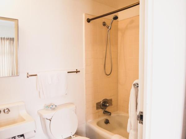 Royal Grove Waikiki : photo 5 de la chambre studio lit king-size deluxe avec canapé-lit et cuisine entièrement Équipée