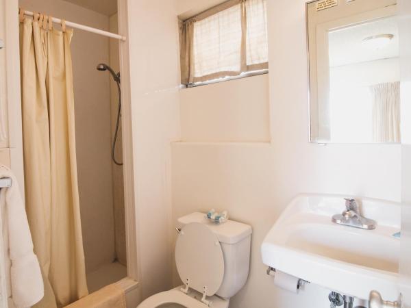 Royal Grove Waikiki : photo 7 de la chambre studio lit king-size deluxe avec canapé-lit et cuisine entièrement Équipée