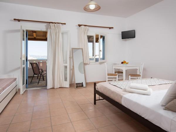 Aqua Naxos Apartments & Suites : photo 4 de la chambre studio - vue sur mer