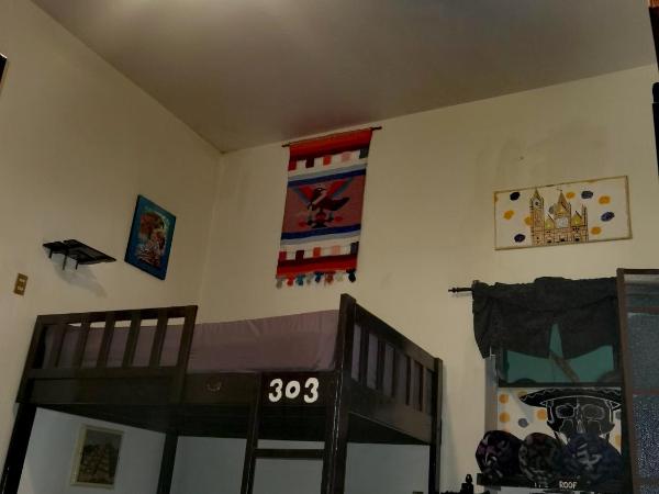 The Roof Backpackers : photo 3 de la chambre chambre quadruple avec salle de bains commune