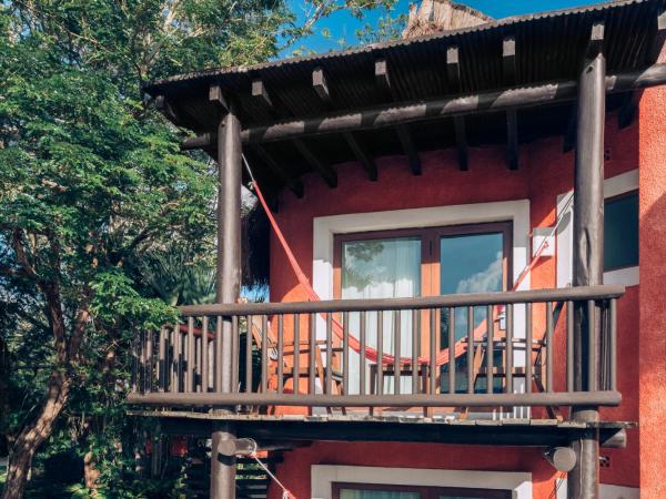 Iberostar Waves Cozumel - All Inclusive : photo 5 de la chambre hébergement double proche piscine (1 adulte)