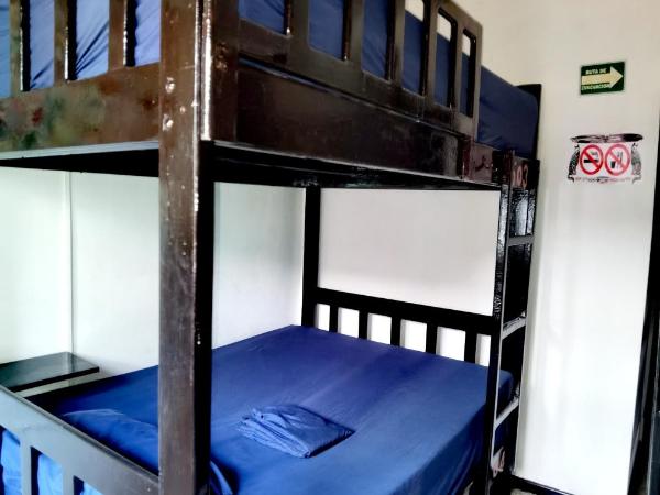The Roof Backpackers : photo 4 de la chambre lit simple dans dortoir pour femmes