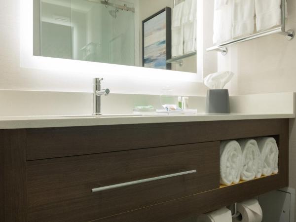 Holiday Inn & Suites Vancouver Downtown, an IHG Hotel : photo 5 de la chambre chambre lit king-size standard