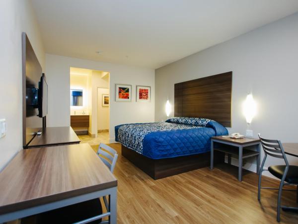 Palace Inn Blue City Centre : photo 3 de la chambre chambre lit king-size supérieure