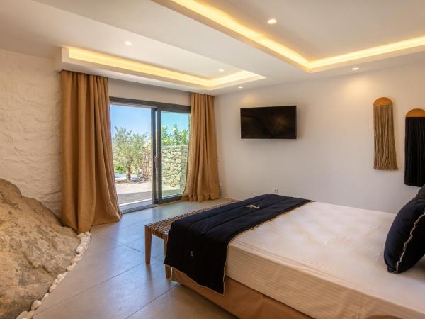 Ikies of Mykonos : photo 9 de la chambre suite avec piscine privée