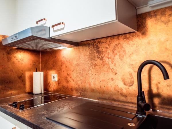 Aparthotel Neumarkt : photo 4 de la chambre appartement 1 chambre