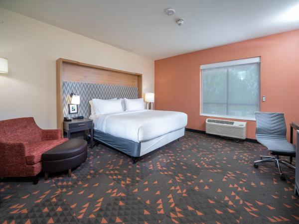 Holiday Inn St Louis - Creve Coeur : photo 3 de la chambre chambre lit king-size standard