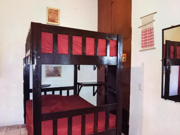 The Roof Backpackers : photo 1 de la chambre lit dans dortoir mixte de 8 lits