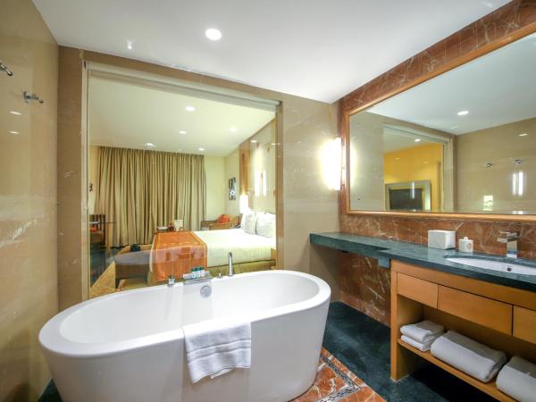 Welcomhotel by ITC Hotels, Jodhpur : photo 6 de la chambre chambre deluxe double ou lits jumeaux