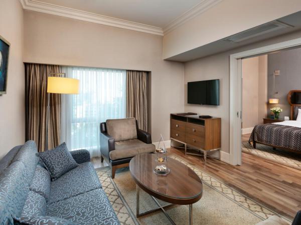 Titanic Business Kartal : photo 2 de la chambre suite club avec kitchenette