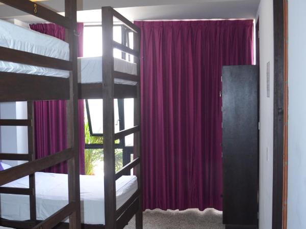 Los Muertos Hostal : photo 2 de la chambre lit simple dans dortoir de 6 lits - la doña