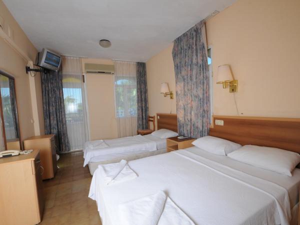 SERİN HOTEL : photo 5 de la chambre chambre double - vue sur jardin