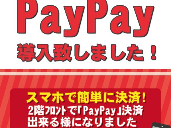 Hotel Route One : photo 8 de la chambre chambre double standard