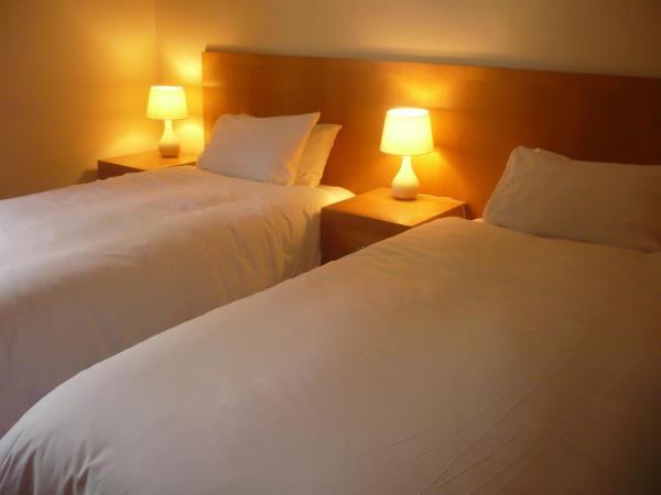 Tri-Star Hotel : photo 1 de la chambre chambre lits jumeaux avec salle de bains privative