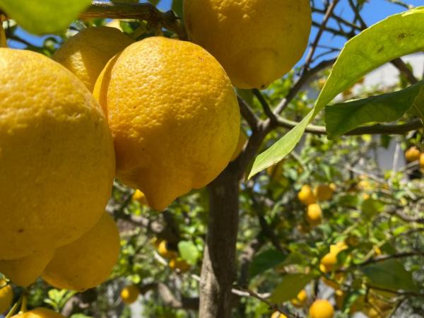 B&B Tequila : photo 2 de la chambre chambre double ou lits jumeaux avec salle de bains privative