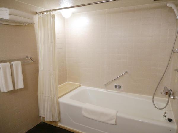 ANA Crowne Plaza Fukuoka, an IHG Hotel : photo 3 de la chambre corner club luxury twin room